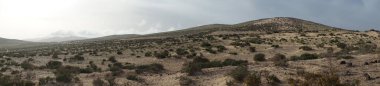Fotoğraf panoraması. Kosta Calma, Fuerteventura, Las Palmas, İspanya kıyılarında sonbahar bitki örtüsü bulunan tepe arazisi.