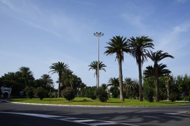Costa Calma, Fuerteventura, İspanya - 21 Ekim 2022: Neryum zakkum çalıları, Phoenix kanarya palmiyeleri ve diğer bitkiler Ekim ayında bir yol kavşağı dekore ettiler. 