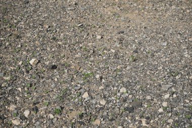 Ekim ayında Costa Calma, Fuerteventura, Kanarya Adaları, İspanya 'da düşük büyüyen bitki örtüsüyle Atlantik kıyısının kayalık toprağı. 