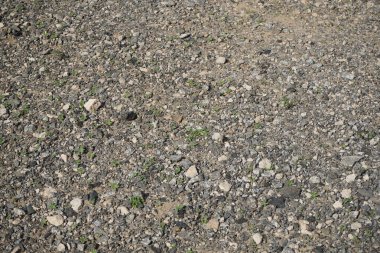 Ekim ayında Costa Calma, Fuerteventura, Kanarya Adaları, İspanya 'da düşük büyüyen bitki örtüsüyle Atlantik kıyısının kayalık toprağı. 