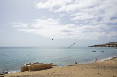 Martılar Larus Michael Hellis Ekim ayında Costa Calma sahilinde uçar. Sarı bacaklı martı, Larus michahellis, büyük bir martıdır. Fuerteventura, Kanarya Adaları, İspanya. 