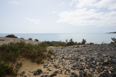 Ekim ayında Costa Calma 'daki plaj manzarası. Costa Calma İspanya 'nın Fuerteventura adasında bulunan bir tatil beldesidir.. 