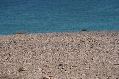 Ekim ayında Costa Calma 'daki plaj manzarası. Costa Calma İspanya 'nın Fuerteventura adasında bulunan bir tatil beldesidir.. 
