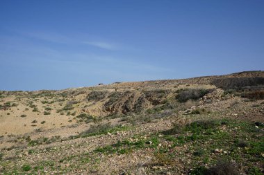 Plaj tatil beldesi Costa Calma, Fuerteventura, Las Palmas, İspanya civarındaki alçak bitki örtüsüne sahip tepe arazisi.