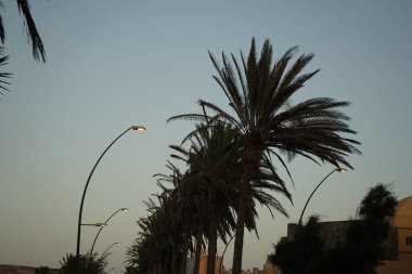 Yol için iki lamba ve tatil köyü Costa Calma, Fuerteventura, Las Palmas, İspanya 'daki kaldırım kenarındaki kaldırımlardan oluşan modern bir sokak lambası.. 