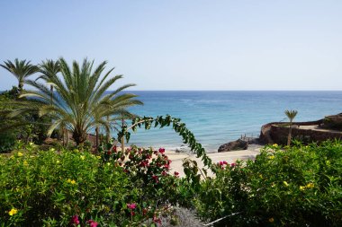 Plaj tatil beldesi Costa Calma 'daki Atlantik Okyanusu' nun manzaralı sahil şeridine bakın. R2 Rio Calma, Fuerteventura, Kanarya Adaları, İspanya. 