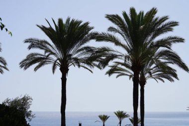 Plaj tatil beldesi Costa Calma 'daki Atlantik Okyanusu' nun manzaralı sahil şeridine bakın. R2 Rio Calma, Fuerteventura, Kanarya Adaları, İspanya. 
