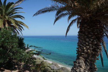 Ekim ayında Atlantik Okyanusu kıyısındaki Playa de Esquinzo 'nun Esquinzo Plajı manzarası. Esquinzo, Fuerteventura, Las Palmas, Kanarya Adaları, İspanya.