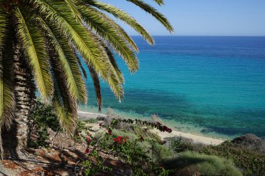 Ekim ayında Atlantik Okyanusu kıyısındaki Playa de Esquinzo 'nun Esquinzo Plajı manzarası. Esquinzo, Fuerteventura, Las Palmas, Kanarya Adaları, İspanya.