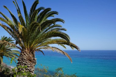 Ekim ayında Atlantik Okyanusu kıyısındaki Playa de Esquinzo 'nun Esquinzo Plajı manzarası. Esquinzo, Fuerteventura, Las Palmas, Kanarya Adaları, İspanya.