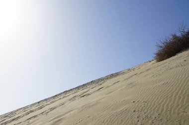 Ekim ayında Atlantik Okyanusu yakınlarındaki Playa de Esquinzo 'daki Esquinzo sahilinin yüksek kumlu manzarası. Esquinzo, Fuerteventura, Las Palmas, Kanarya Adaları, İspanya. 