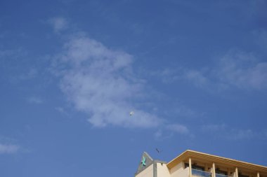 Kuşlar Larus michahellis ve Calonectris diomedea Ekim ayında gökyüzünde uçarlar. Scopoli 'nin yelkovan kuşu Calonectris diomedea, maringiller (Procellaridae) familyasından bir deniz kuşudur. Las Gaviotas, Las Palmas, Kanarya Adaları, İspanya.