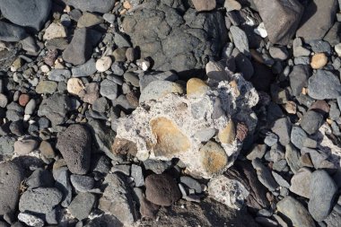 Matas Körfezi 'ndeki Atlantik Okyanusu kıyısındaki Playas de Matas Blancas plajında güzel taşlar bulunur. Costa Calma, Fuerteventura, Las Palmas, Kanarya Adaları, İspanya. 