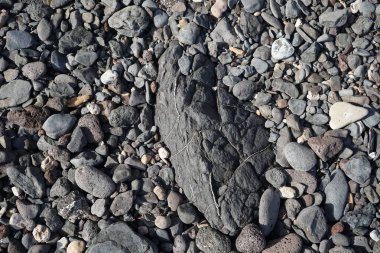 Matas Körfezi 'ndeki Atlantik Okyanusu kıyısındaki Playas de Matas Blancas plajında güzel taşlar bulunur. Costa Calma, Fuerteventura, Las Palmas, Kanarya Adaları, İspanya. 