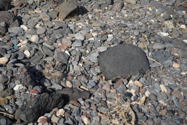 Vanessa Cardui kelebeği ekim ayında taşların üzerinde oturur. Vanessa Cardui, Cynthia Cardui, boyalı bayan, tüm kelebek türlerinin en yaygın olanıdır. Costa Calma, Fuerteventura, Las Palmas, Kanarya Adaları, İspanya.