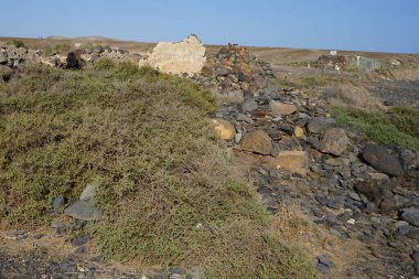 Eski binaların kalıntıları Matas Körfezi 'ndeki Atlantik Okyanusu kıyısında yer almaktadır. Costa Calma, Fuerteventura, Las Palmas, Kanarya Adaları, İspanya.