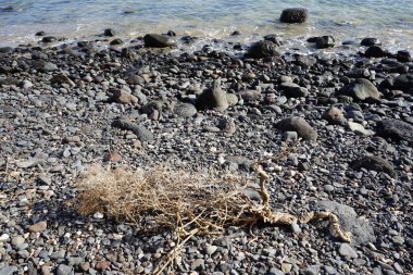 Matas de Matas Blancas plajında Matas Körfezi 'ndeki Atlantik Okyanusu kıyısında sonbaharda manzara. Costa Calma, Fuerteventura, Las Palmas, Kanarya Adaları, İspanya. 