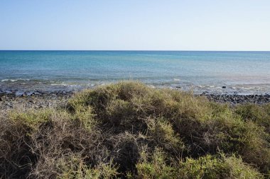 Matas de Matas Blancas plajında Matas Körfezi 'ndeki Atlantik Okyanusu kıyısında sonbaharda manzara. Costa Calma, Fuerteventura, Las Palmas, Kanarya Adaları, İspanya. 