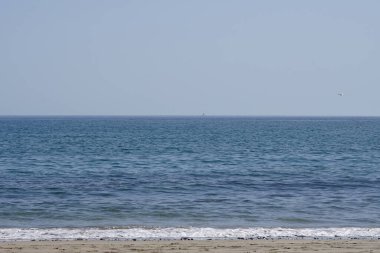 Larus michahellis kuşu sonbaharda Matas Körfezi 'ndeki Atlantik Okyanusu kıyısında gökyüzünde uçar. Sarı bacaklı martı, Larus michahellis, büyük bir martıdır. Costa Calma, Fuerteventura, Las Palmas, Kanarya Adaları, İspanya.  
