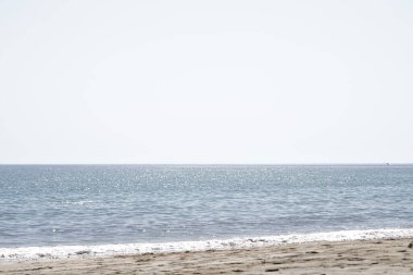 Larus michahellis kuşu sonbaharda Matas Körfezi 'ndeki Atlantik Okyanusu kıyısında gökyüzünde uçar. Sarı bacaklı martı, Larus michahellis, büyük bir martıdır. Costa Calma, Fuerteventura, Las Palmas, Kanarya Adaları, İspanya.  