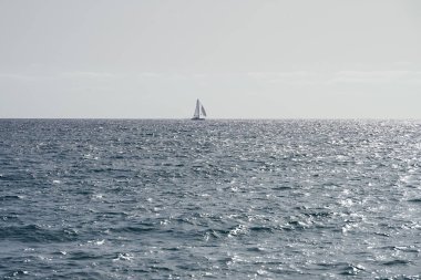Bir yelkenli sonbaharda Matas Körfezi 'nde Atlantik Okyanusu' nun dalgalarında yelken açar. Costa Calma, Fuerteventura, Las Palmas, Kanarya Adaları, İspanya.