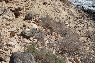 Sonbaharda Costa Calma köyünün dışındaki Atlantik Okyanusu kıyısında güzel bir manzara. Fuerteventura, Las Palmas, Kanarya Adaları, İspanya. 