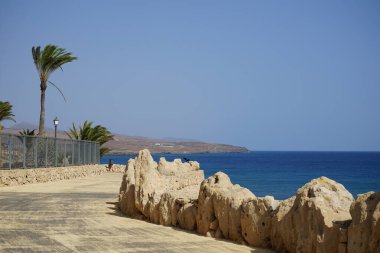 Corvus corax canariensis kuşu Ekim ayında Kosta Calma 'da Atlantik Okyanusu kıyısında yaşar. Sıradan bir kuzgun olan Corvus Corax, iri yarı, siyah bir kuşdur. Fuerteventura, Las Palmas, Kanarya Adaları, İspanya. 