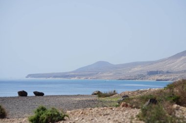 Larus michahellis martıları sonbaharda Kosta Calma 'daki Atlantik Okyanusu' nun üzerinde uçar. Sarı bacaklı martı, Larus michahellis, büyük bir martıdır. Fuerteventura, Las Palmas, İspanya.