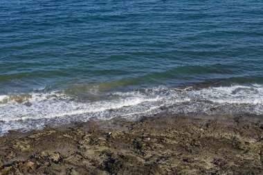 Larus michahellis martıları sonbaharda Costa Calma 'da Atlantik Okyanusu kıyısında yaşarlar. Sarı bacaklı martı, Larus michahellis, büyük bir martıdır. Fuerteventura, Las Palmas, İspanya. 