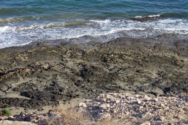 Larus michahellis martıları sonbaharda Costa Calma 'da Atlantik Okyanusu kıyısında yaşarlar. Sarı bacaklı martı, Larus michahellis, büyük bir martıdır. Fuerteventura, Las Palmas, İspanya. 