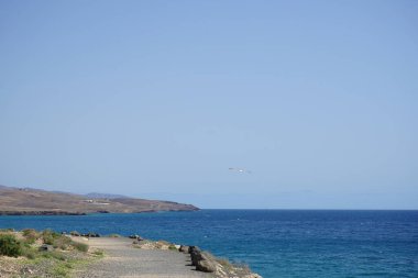 Larus michahellis martıları sonbaharda Kosta Calma 'daki Atlantik Okyanusu' nun üzerinde uçar. Sarı bacaklı martı, Larus michahellis, büyük bir martıdır. Fuerteventura, Las Palmas, İspanya.  