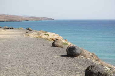 Kemirgen Atlantoxerus getulus ve Streptopelia dekaocto kuşu sonbaharda Costa Calma 'nın Atlantik kıyısında vahşi doğada yaşarlar. Barbar sincap (