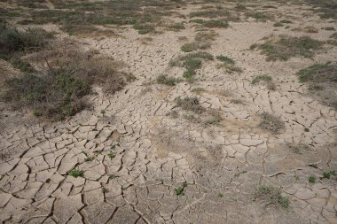 Ekim ayında kopmuş toprak, Costa Calma, Fuerteventura, Las Palmas, Kanarya Adaları, İspanya 'da Atlantik Okyanusu' ndaki Playas de Matas Blancas plajında yer almaktadır.. 