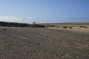 Ekim ayındaki güzel doğal manzara Costa Calma, Fuerteventura, Las Palmas, Kanarya Adaları, İspanya 'nın Atlantik kıyısındaki Playas de Matas Blancas plajı civarındadır..