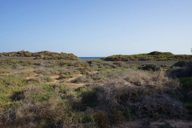 Ekim ayındaki güzel doğal manzara Costa Calma, Fuerteventura, Las Palmas, Kanarya Adaları, İspanya 'nın Atlantik kıyısındaki Playas de Matas Blancas plajı civarındadır..