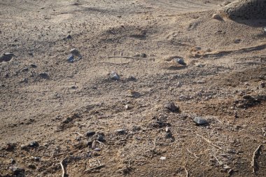 Vanessa Cardui kelebeği ekim ayında kayalık kumlu zeminde oturur. Vanessa Cardui, Cynthia Cardui, boyalı bayan, tüm kelebek türlerinin en yaygın olanıdır. Costa Calma, Fuerteventura, Las Palmas, Kanarya Adaları, İspanya.