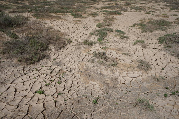 Земля в октябре находится на пляже Playas de Matas Blancas в Атлантическом океане в Коста Кальма, Фуэртевентура, Лас-Пальмас, Канарские острова, Испания. 