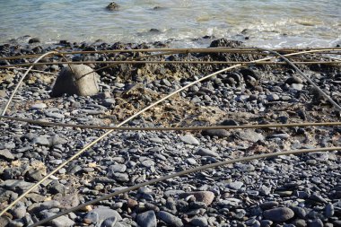 Costa Calma yakınlarındaki Matas Blancas 'taki Quaternary Dönemi yumuşakça Strombus bubonius fosilleşmiş yatakları Kanarya Adaları' ndaki en önemli paleontolojik alanlardan biridir. Yacimiento de Strombus bubonius, Fuerteventura, Las Palmas, İspanya. 