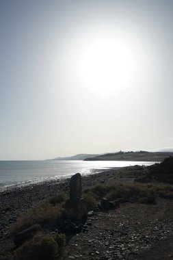 Costa Calma, Fuerteventura, İspanya - 26 Ekim 2022: Bu bölgedeki bir taşın üzerindeki bilgi plaketine göre bu bölgedeki fosiller Kanarya Adaları 'nda soyu tükenmiş olan deniz salyangozu Strombus bubonius' un kabuklarından gelmektedir..