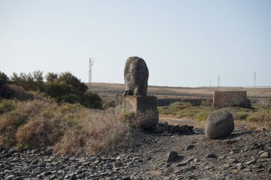 Costa Calma, Fuerteventura, İspanya - 26 Ekim 2022: Bu bölgedeki bir taşın üzerindeki bilgi plaketine göre bu bölgedeki fosiller Kanarya Adaları 'nda soyu tükenmiş olan deniz salyangozu Strombus bubonius' un kabuklarından gelmektedir..