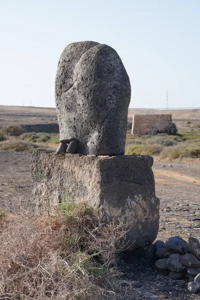 Costa Calma, Fuerteventura, İspanya - 26 Ekim 2022: Bu bölgedeki bir taşın üzerindeki bilgi plaketine göre bu bölgedeki fosiller Kanarya Adaları 'nda soyu tükenmiş olan deniz salyangozu Strombus bubonius' un kabuklarından gelmektedir..