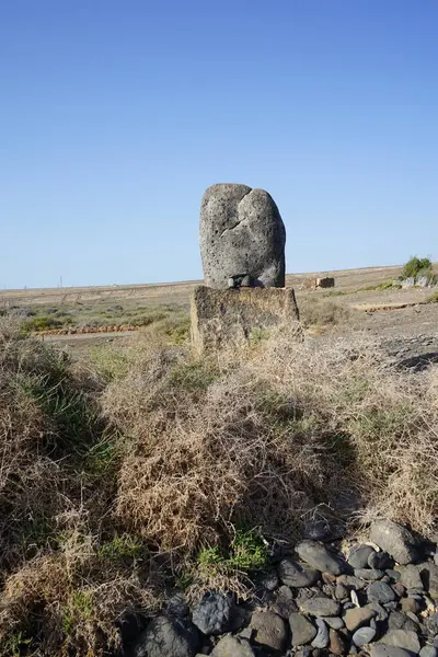 Costa Calma, Fuerteventura, İspanya - 26 Ekim 2022: Bu bölgedeki bir taşın üzerindeki bilgi plaketine göre bu bölgedeki fosiller Kanarya Adaları 'nda soyu tükenmiş olan deniz salyangozu Strombus bubonius' un kabuklarından gelmektedir..