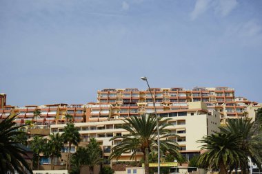 Morro Jable, Fuerteventura, İspanya - 25 Ekim 2022: Streptopelia dekaocto kuşu modern binaların arka planına karşı bir sokak lambasının üzerinde oturur. Avrasya güvercini, güvercin veya Türk güvercini Streptopelia decaocto, güvercin türü.. 