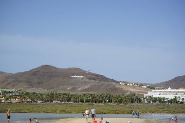 Bir martı Larus michahellis sonbaharda Morro Jable 'da Atlantik Okyanusu' nun üzerinde uçar. Sarı bacaklı martı, Larus michahellis, büyük bir martıdır. Fuerteventura, Las Palmas, Kanarya Adaları, İspanya.