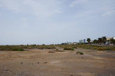 Ekim ayında tuzlu bozkır olan Matorral, gelgitlerin akışı nedeniyle Atlantik kıyısında yer almaktadır. Tuz bozkırı substrat bozkırıdır. Solana Matorral, Morro Jable, Fuerteventura, Las Palmas, Kanarya Adaları, İspanya.  