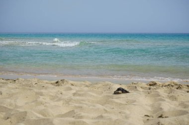 Ekim ayında Playa del Matorral sahilinde yüksek dalgalar ve kıyıya yakın güçlü akıntılarla fırtınalı Atlantik Okyanusu manzarası. Solana Matorral, Morro Jable, Las Palmas, Kanarya Adaları, İspanya. 