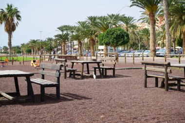 Solana Matorral, Fuerteventura, İspanya - 25 Ekim 2022: Bir Bubulcus ibis kuşu Solana Matorral 'daki gezinti alanında yürüyor. Ekin (
