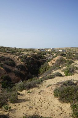 Kuraklığa dayanıklı bitki örtüsü ve eski binaların kalıntılarının manzarası Costa Calma, Fuerteventura, Las Palmas, Kanarya Adaları, İspanya civarındadır.. 