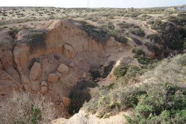 Kuraklığa dayanıklı bitki örtüsüne sahip güzel bir manzara Costa Calma, Fuerteventura, Las Palmas, Kanarya Adaları, İspanya. 