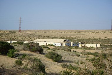 Kuraklığa dayanıklı bitki örtüsü ve eski binaların kalıntılarının manzarası Costa Calma, Fuerteventura, Las Palmas, Kanarya Adaları, İspanya civarındadır.. 